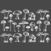Underglaze Transfer - Mushroom
