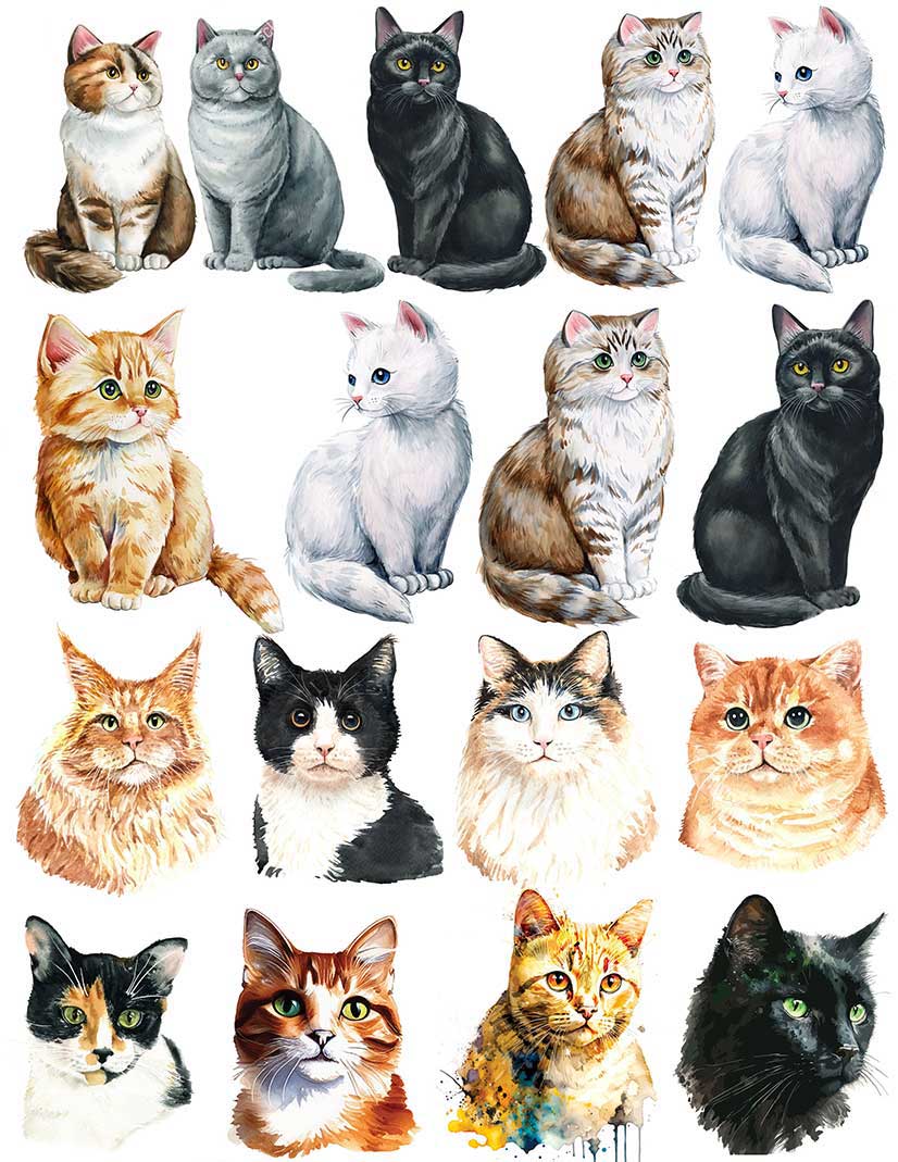 Overglaze decal - Cats