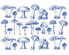 Underglaze Transfer - Mushroom