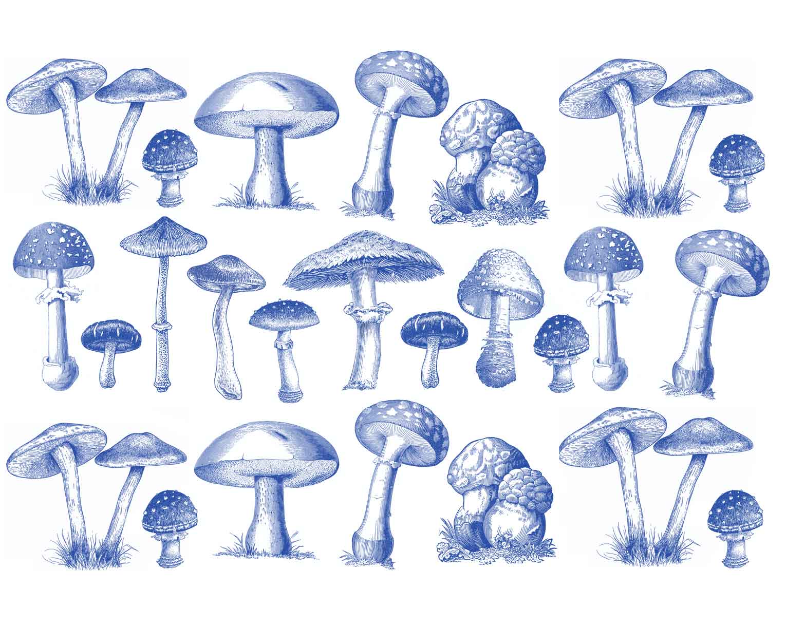 Underglaze Transfer - Mushroom