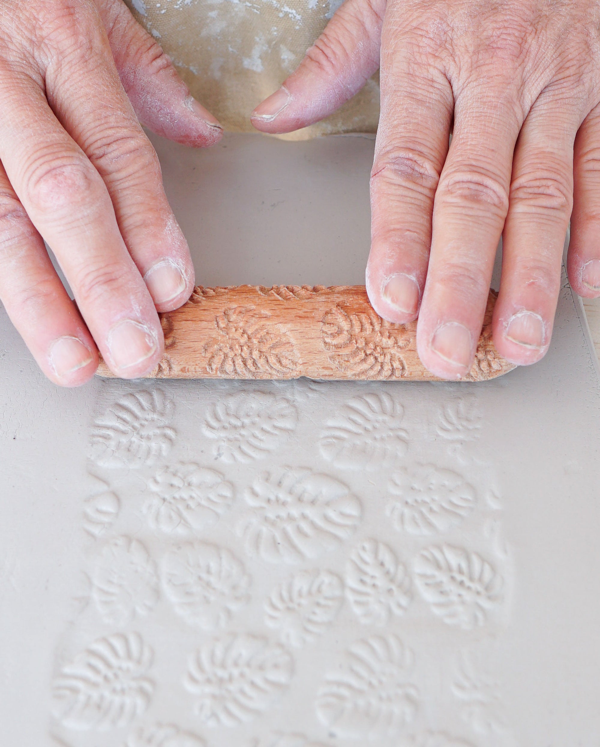 Texture Roller - Monstera