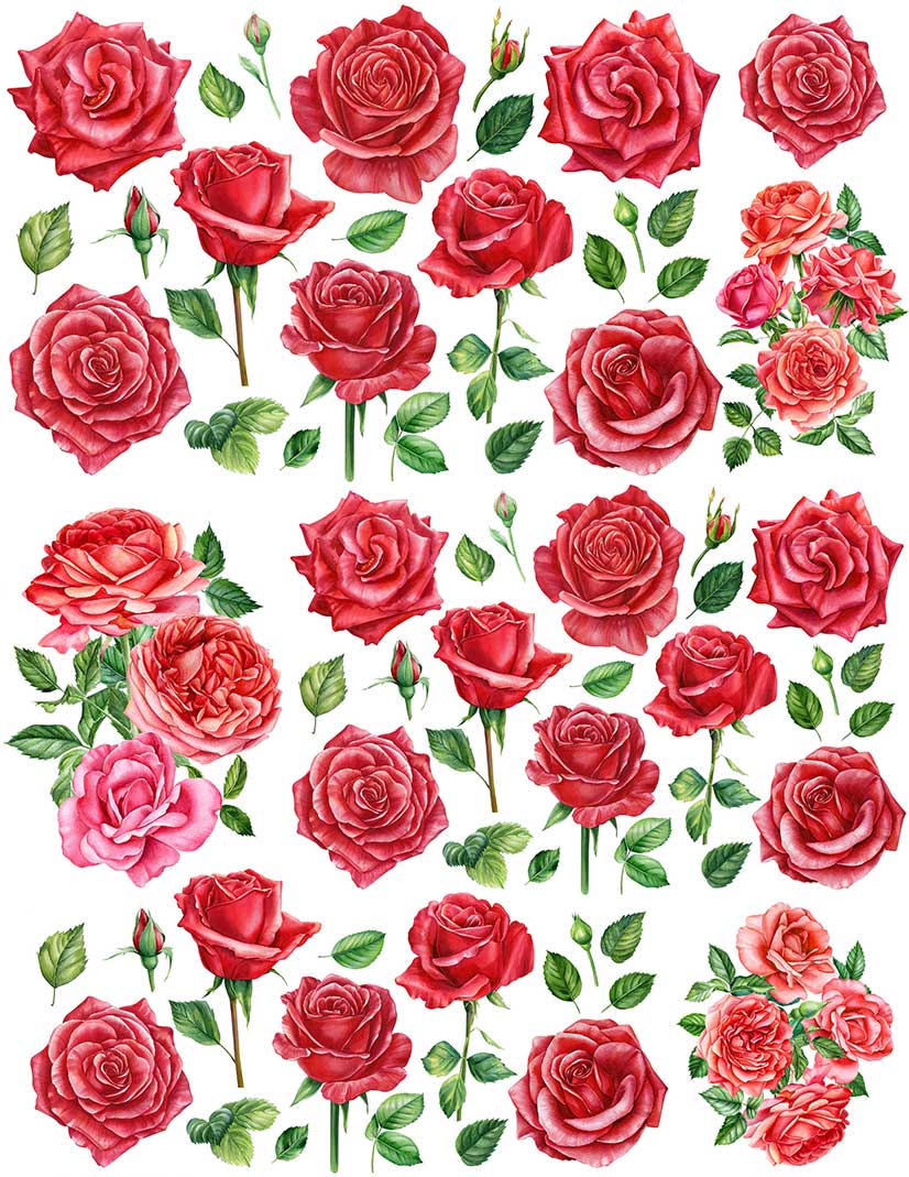 Overglaze decal - Rose