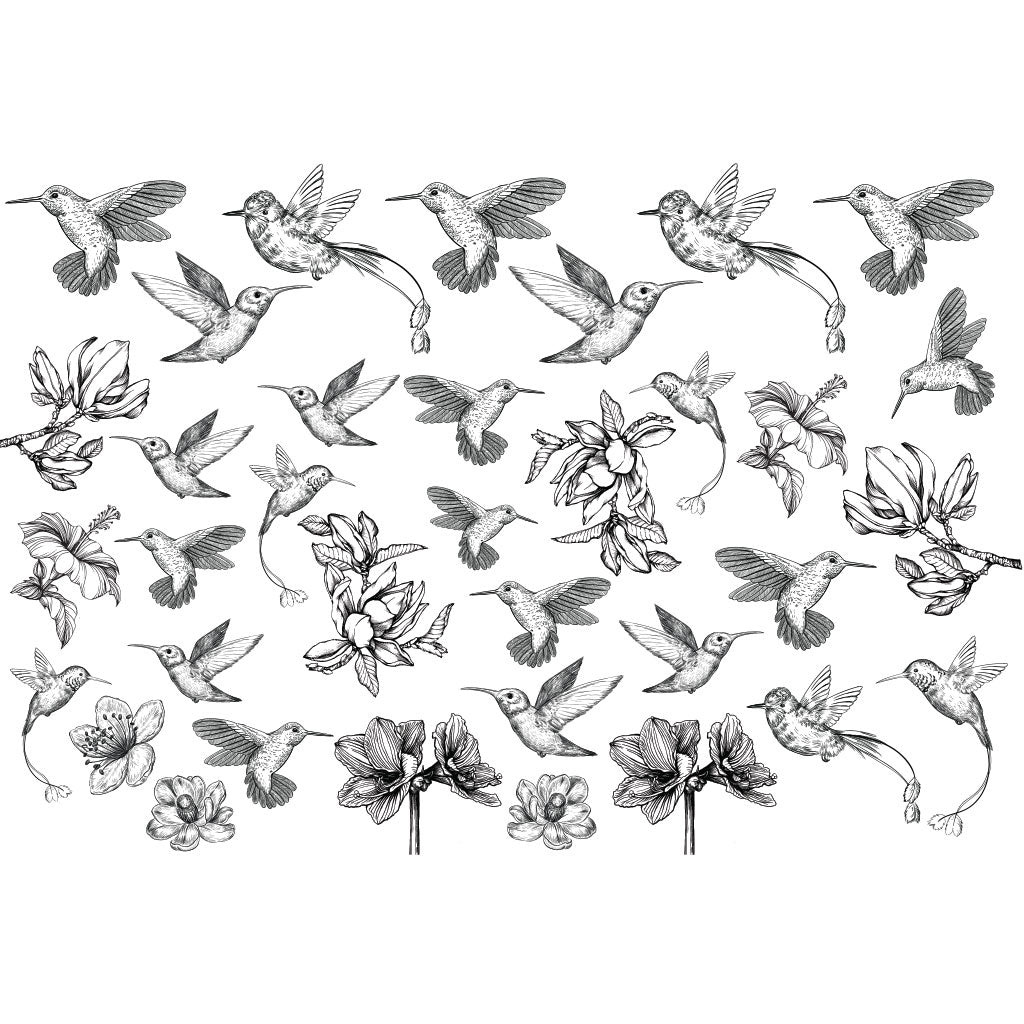 Humming Bird