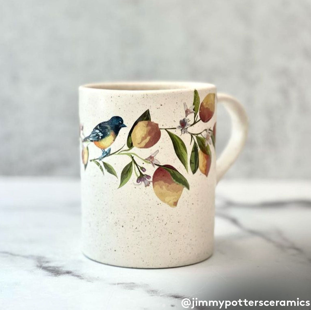 Ceramic Overglaze decal, Overglaze decal Lemon Sanbao Studio