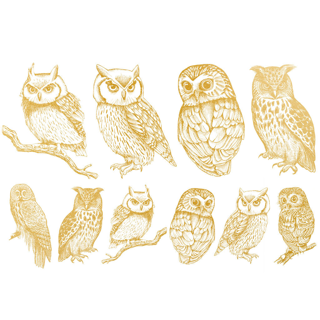 Gold Overglaze Decal - Owl