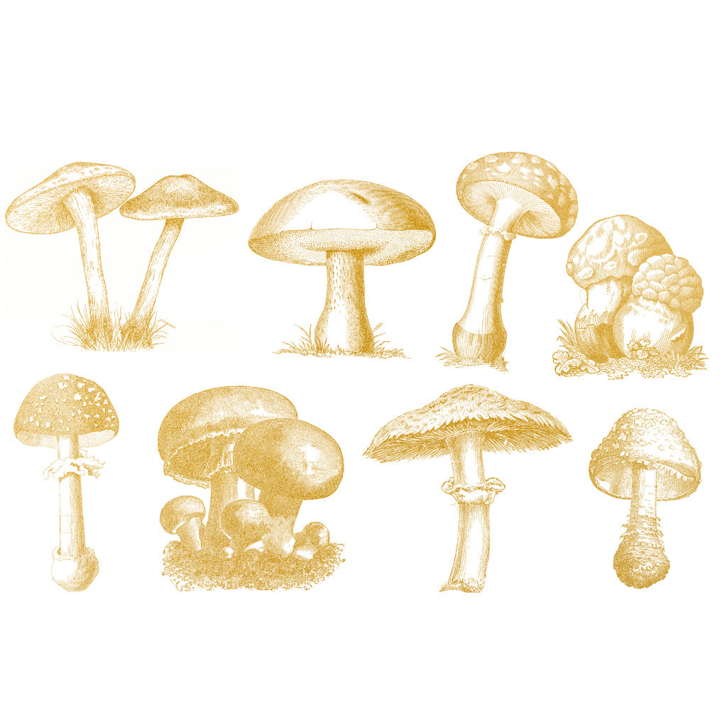 Gold Ceramic Decal, Overglaze decal - Wild Mushroom - Sanbao Studio