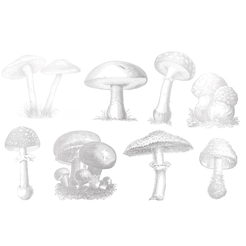 Gold - Wild Mushroom