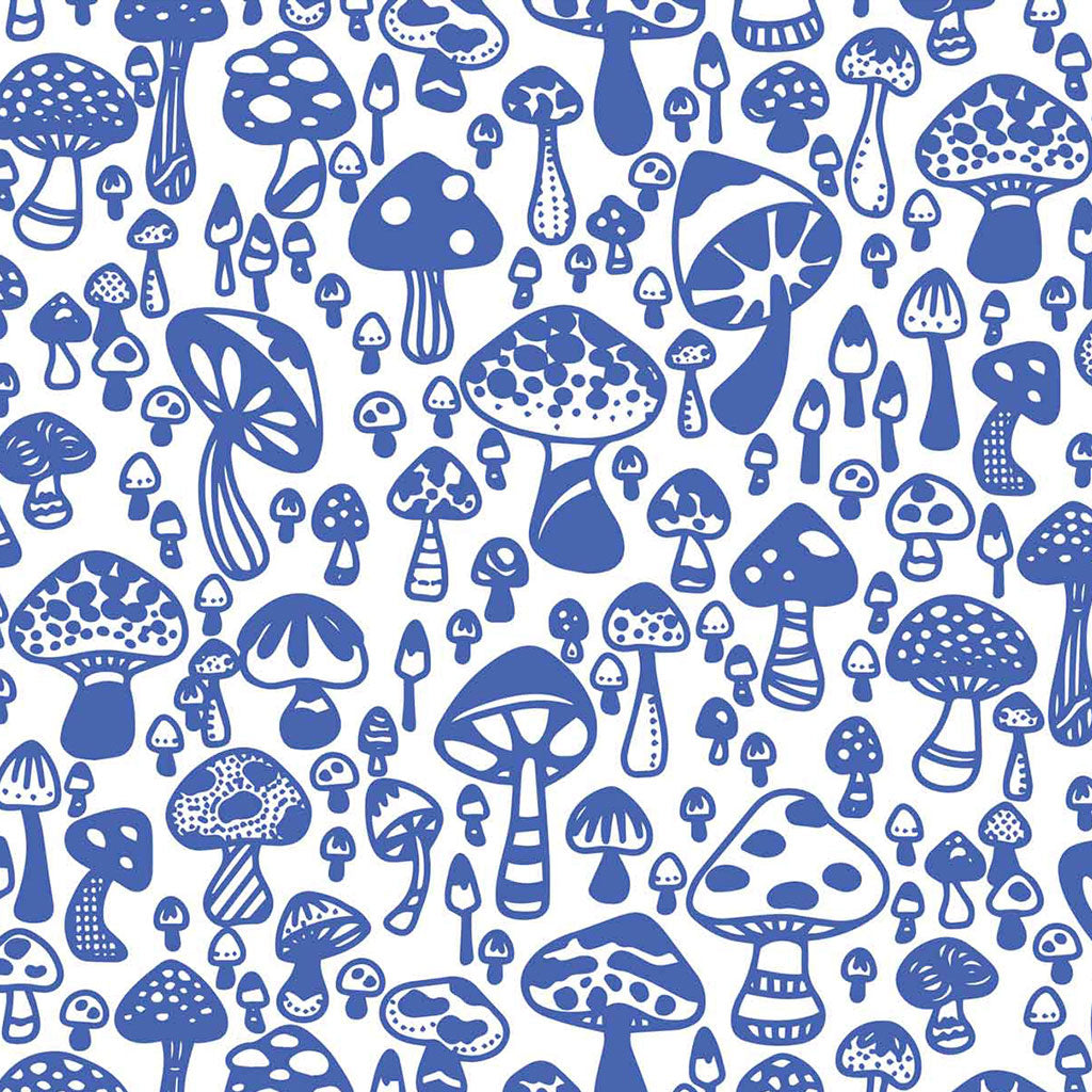 mushroom　0324 Amazon.com: (2-Pack) North Spore Organic Blue Oyster
