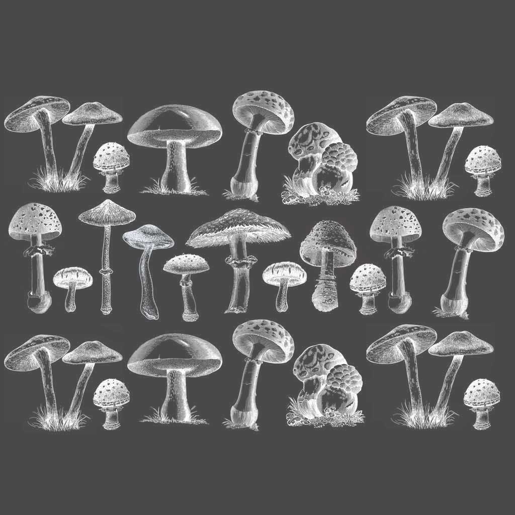 Underglaze Transfer, Ceramic Decal - Mushroom | Sanbao