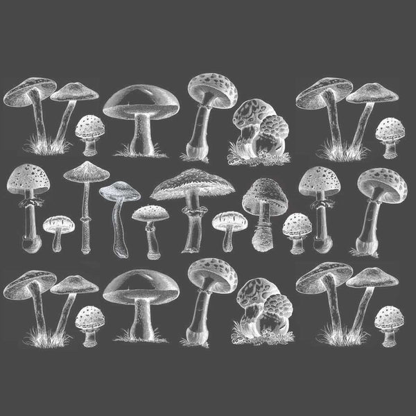 Mushroom Molds – Small Parasol – World of Sugar Art