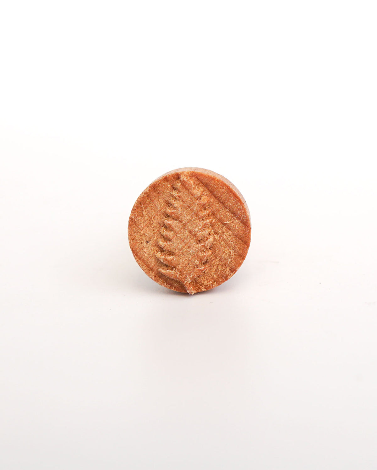 Clay Stamp - Tropical Leaf
