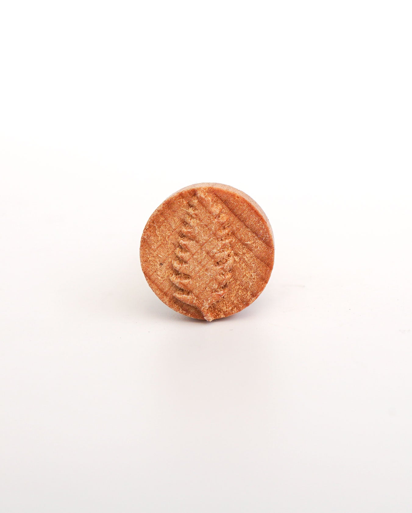 Clay Stamp - Tropical Leaf