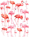 Overglaze decal - Flamingo