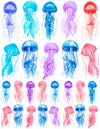 Overglaze decal - Jelly Fish