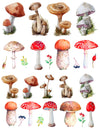 Overglaze decal - Mushroom