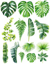 Overglaze decal - Palm Leaf