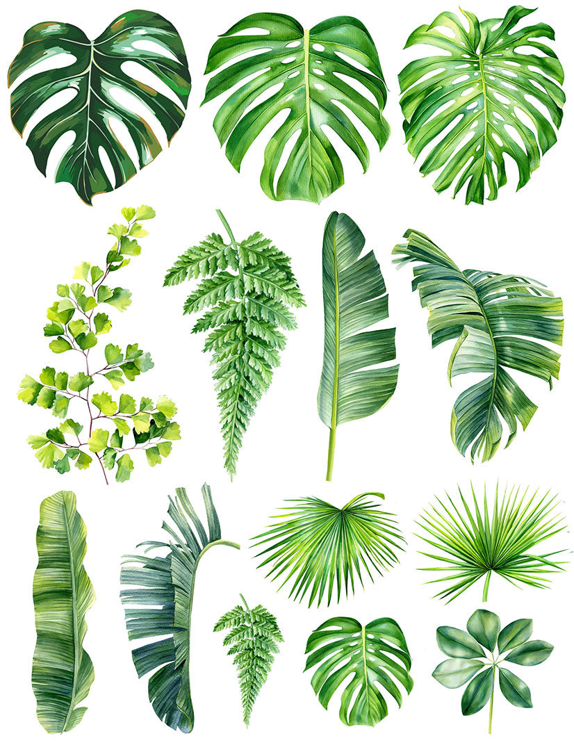 Overglaze decal - Palm Leaf