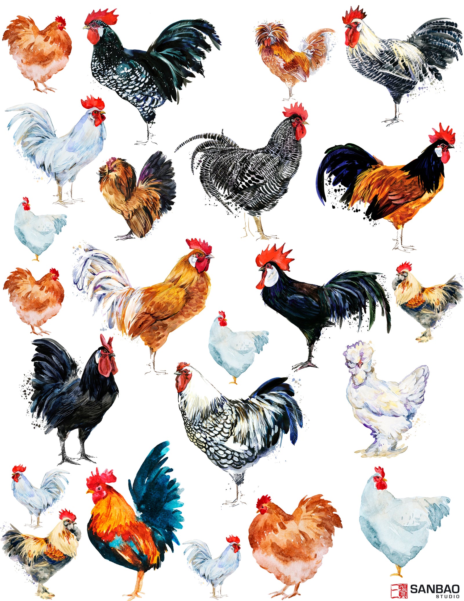 Overglaze decal - Rooster