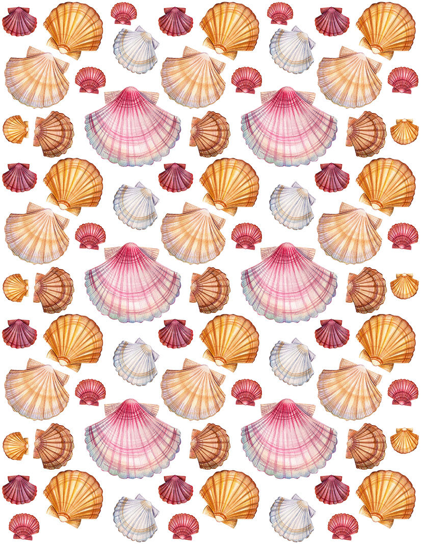 Overglaze decal - Sea Shell