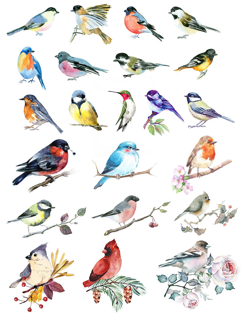 Overglaze decal - Watercolor Birds