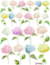 Overglaze decal - Hydrangea